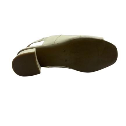https://site.ortobig.iteclux.com.br/fotos/101060005012024054049.png