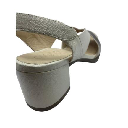 https://site.ortobig.iteclux.com.br/fotos/101130305012024040804.png